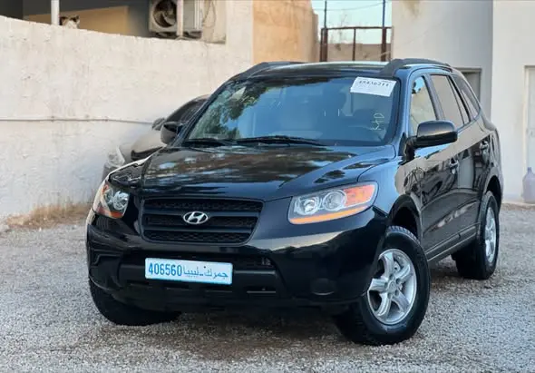 2008 Hyundai Santa Fe