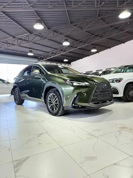 2025 لكزس NX450