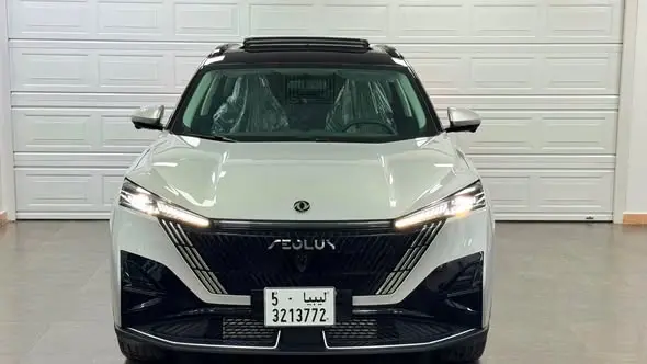 2025 Dongfeng MAGE 5
