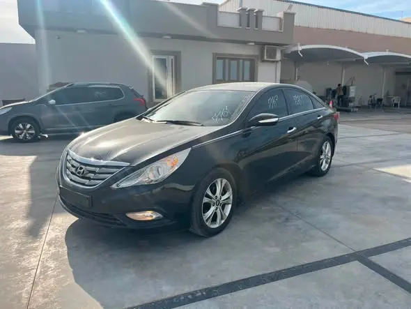 2010 Hyundai Sonata