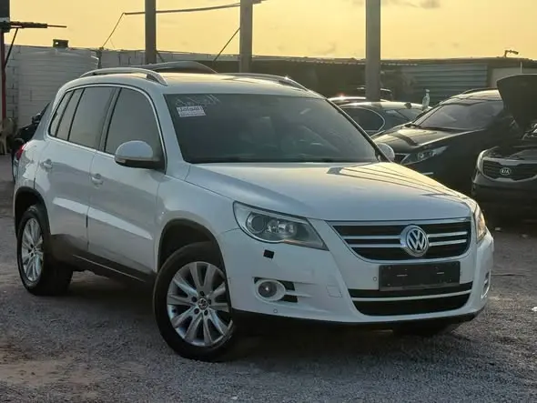 2010 Volkswagen Tiguan