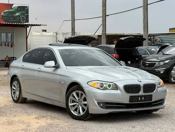 2010 BMW F10