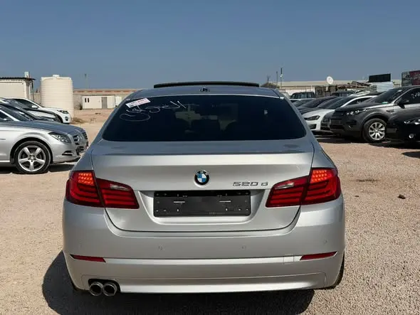 2013 BMW 520d