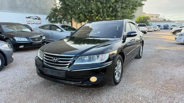 2010 Hyundai Grandeur