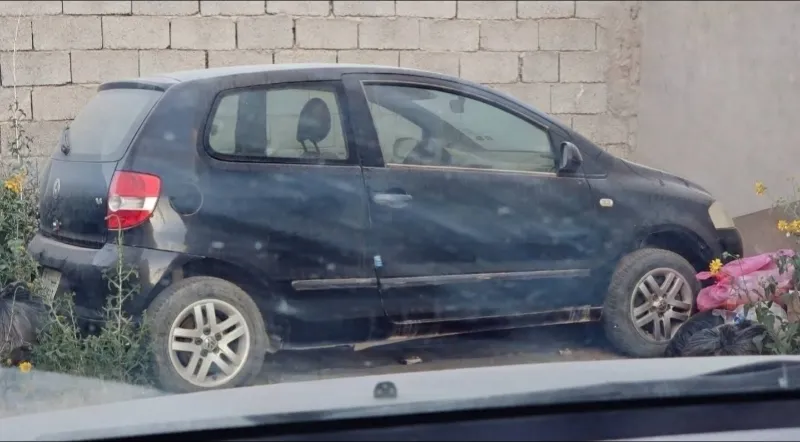 فوكس فوكس 