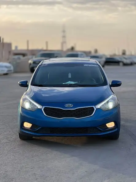 2015 KIA Forty