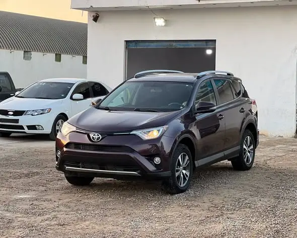 2017 Toyota RAV4