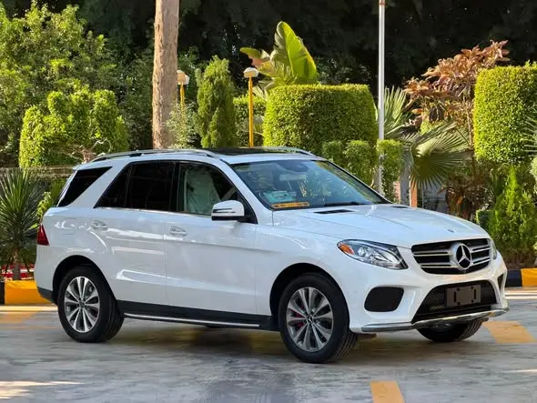 2018 Mercedes-Benz GLE