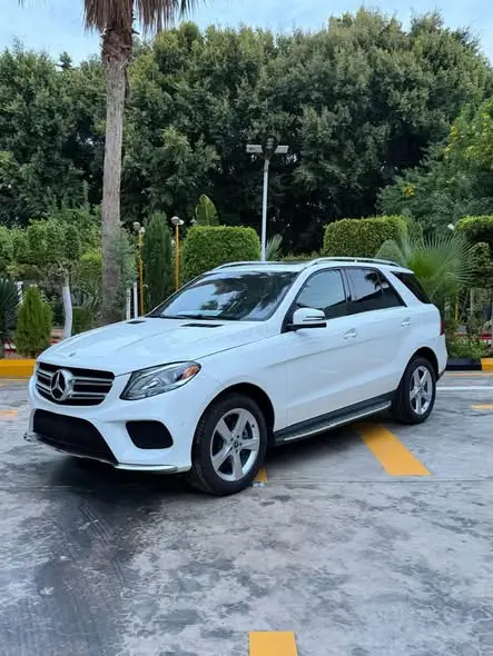 2018 Mercedes-Benz GLE