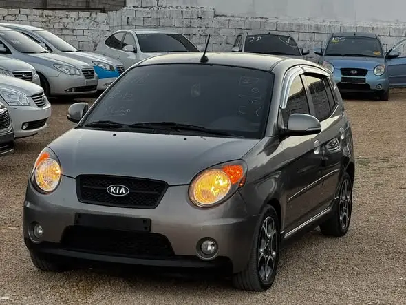 2010 Kia Picanto