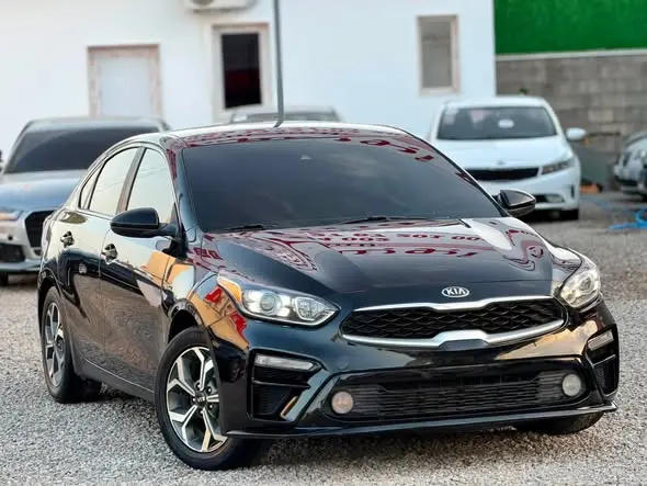 2019 KIA FORTE