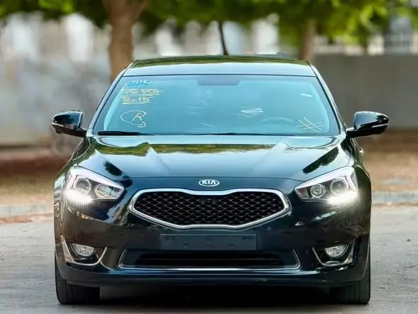 2014 Kia Cadenza K7