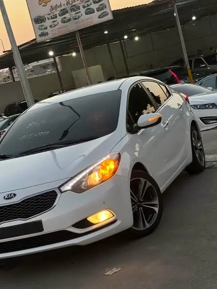 2014 Kia Cerato K3