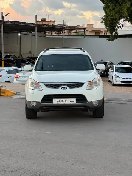 2010 Hyundai Vercruz