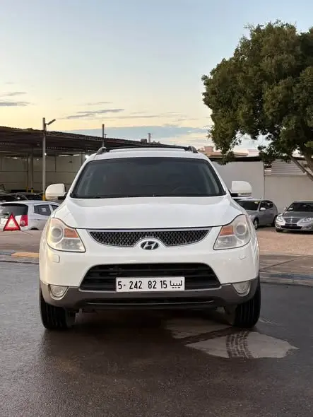 2010 Hyundai Vercruz