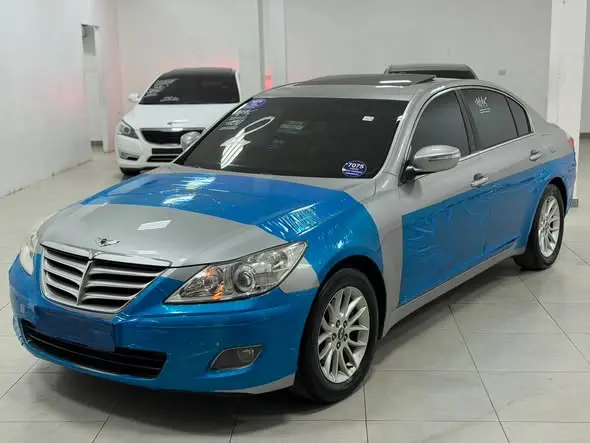 2010 Genesis GENESIS