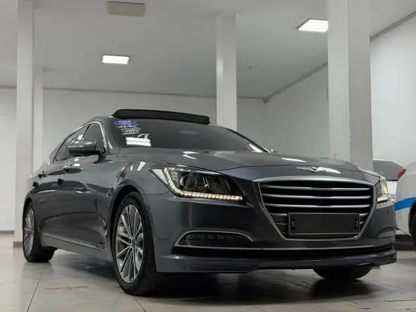 2016 GENESIS Other