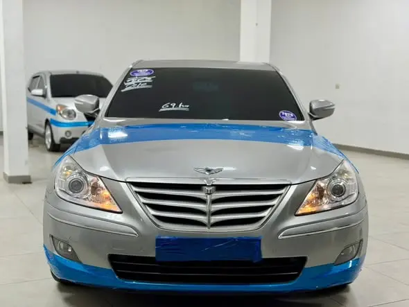 2010 Genesis Other