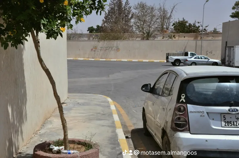 كيا بيكانتو 2009