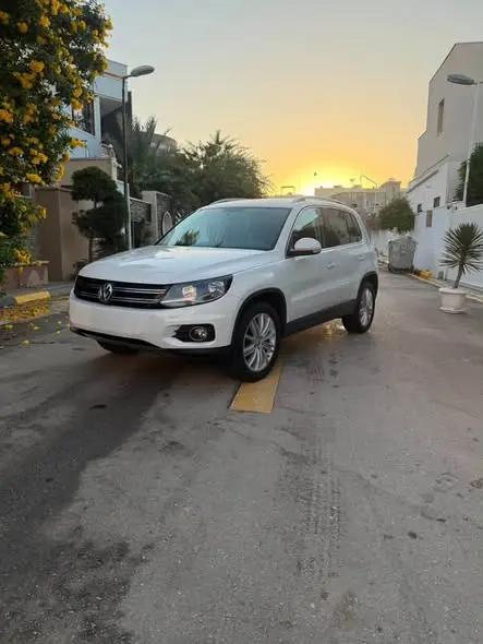 2014 Volkswagen Tiguan